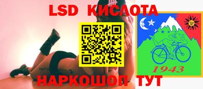 индика Кингисепп