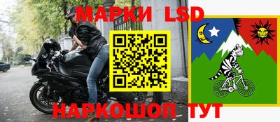 индика Кингисепп
