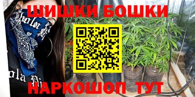 индика Кингисепп
