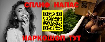 индика Кингисепп