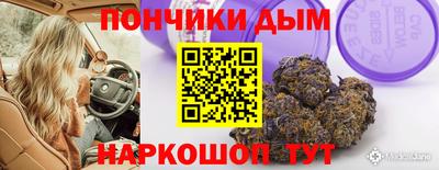 индика Кингисепп
