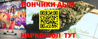 индика Кингисепп