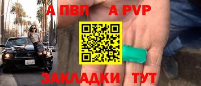 индика Кингисепп