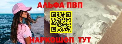 индика Кингисепп