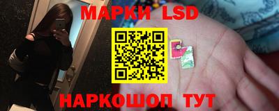 индика Кингисепп