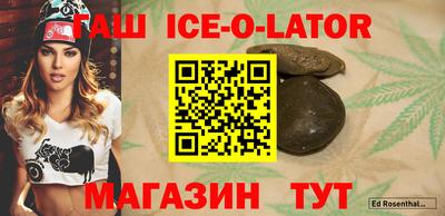 индика Кингисепп