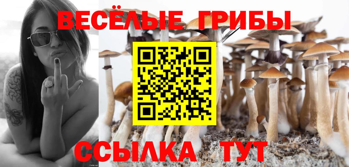Псилоцибиновые грибы прущие грибы Красноармейск